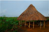 Bafa - African Gazebo