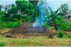 Charcoal Production