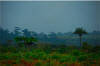 Landscape 1