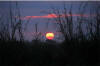 African Sunrise 2